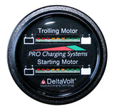 Dual Pro Battery Fuel Gauge For 1 - 36v, 1 -12v Systems
